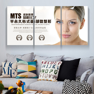 韩式皮肤管理挂画mts医疗美容装饰画整形院墙壁美白嫩肤墙画海报