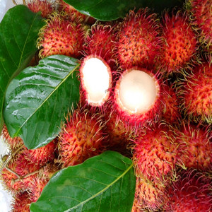 泰国进口红毛丹5斤装 新鲜水果海南红毛丹毛荔枝毛龙眼空运包邮