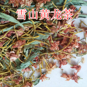 青藏雪山黄龙茶黄龙草根头黄金龙梗颗粒组合可香袋可泡喝500g包邮