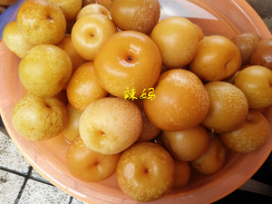 云南大理 泡梨腌梨 酸甜可口  清脆爽口500克