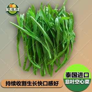 0人付款 淘宝 青梗柳叶空心菜种子通心菜青菜夏季四季水生盆栽蔬菜籽图片