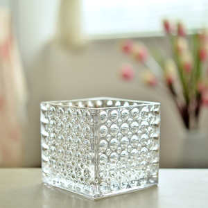 创意加厚方形玻璃花瓶水培绿萝圆点透明玻璃小号珠点方缸台面花瓶