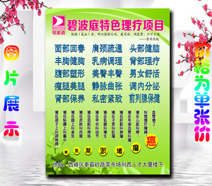 写真广告海报装饰宣传画挂图kt板碧波庭特色理疗项目简介美图套图
