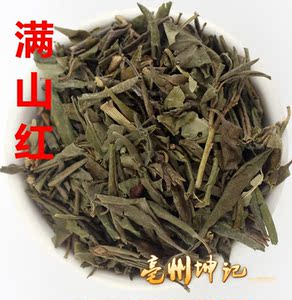 中药材满山红