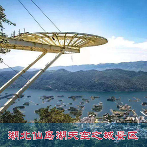 [阳新天空之城-天空之城套票b (大门票 天空之镜 丛林穿越 镜子迷宫