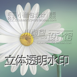 淘宝水印浮雕透明水印设计制作简约素材防盗水印logo设计水晶图章