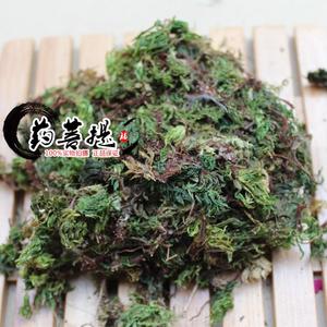 回心草 云南回心草 野生回心草 茴心草大叶藓500克