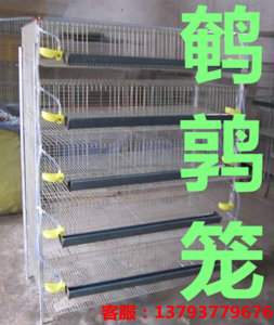鹌鹑笼 立式鹌鹑笼 直型鹌鹑笼 直式鹌鹑笼 鹌鹑笼子