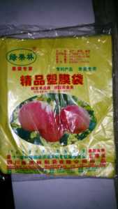 绿果林梨套袋桃梨水果袋 保鲜防虫防鸟水果套袋塑膜袋育果袋
