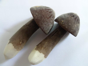 一口田食用菌新鲜鸡枞菌野生黑皮鸡枞菌鸡枞鸡茸菇一斤44元