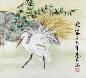 手绘客厅卧室办公室字画热销yd111701秦霞三尺斗方工笔画花鸟鹭鸶