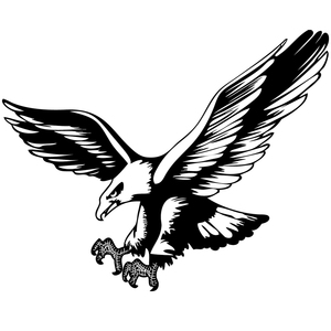 创意雄鹰装修贴画墙贴纸客厅沙发背景墙贴玻璃贴纸