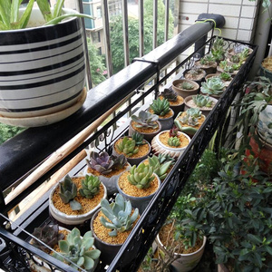 铁艺阳台栏杆花盆壁挂悬挂花架子室外护栏挂式福建省多种规格组装