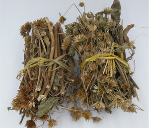 客家煲汤料 野生白花地胆头/地胆草500克