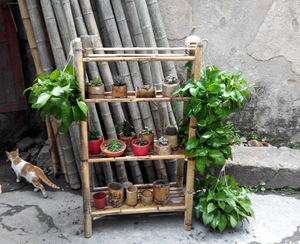 花架手工制作
