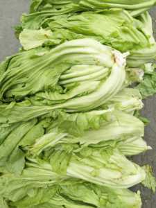 四川特产 新鲜泡青菜 酸菜鱼泡酸菜 大叶青菜 宽帮青菜 5斤装包邮