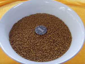 绣眼鸟食南京侯氏鸟食-20元450克绣眼开口专用颗粒料绣眼饲料