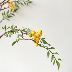 发财果黄色马桑果仿真果实树枝折中主义艺术装饰摆件仿真绿植植物