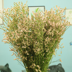 水晶草鲜花干花花束云南鲜花特产一束花自然风干基地直发真花
