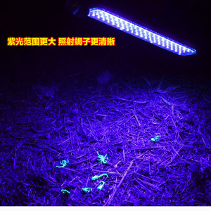 照蝎子灯专用强光提亮紫光手电筒户外超手头戴蝎子灯可充电.