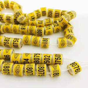 2022年b ctrpa台湾足环  信鸽足环 鸽子脚环  电子环 特留种鸽环