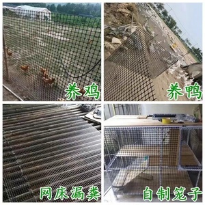 养鸡围栏网菜园圈地零售10米20米长塑料防护网户外养殖网圈玉米网