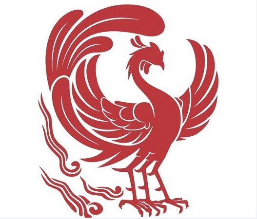 ins爆款竹棉竹纤维2层纱布婴儿浴巾宝宝包巾夏季muslin棉推车盖被