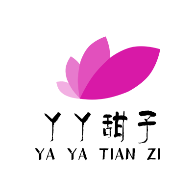 岩谷 户外卡式炉便携防风烧烤肉炉具 迷你燃气炉子 野外瓦斯炉灶.