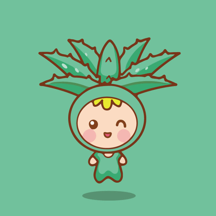 娇点 复合地板12mm光面 防水封蜡地板 强化家用仿实木 环保木地板