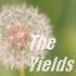 The Yields Design