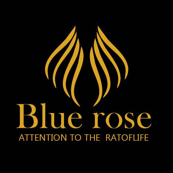 纯白创意陶瓷盘子菜盘西餐盘圆盘个性盘子酒店饭店餐具特价包邮