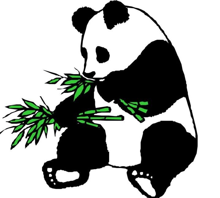 与"宝雄报关屋(babybear)  相关共有  个店铺,其