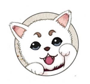 阿龙百货商铺1999