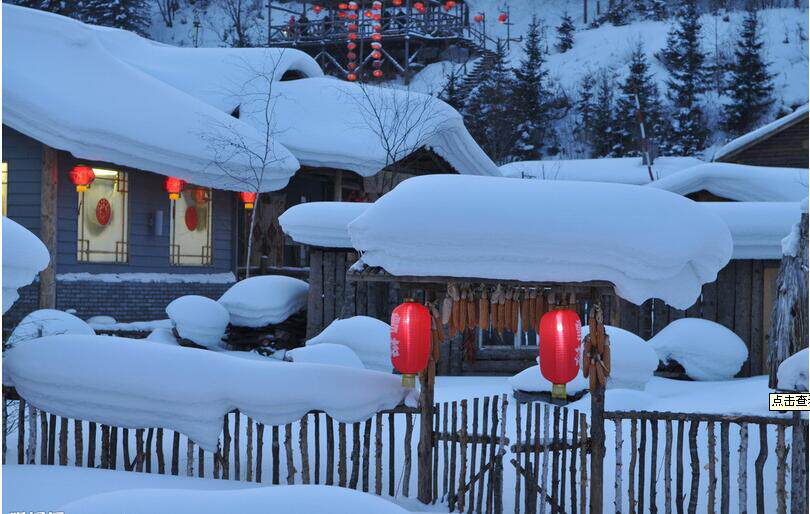 东北特产饭包白菜叶东北大白菜叶子通辽白菜叶大绿白菜叶顺丰包邮