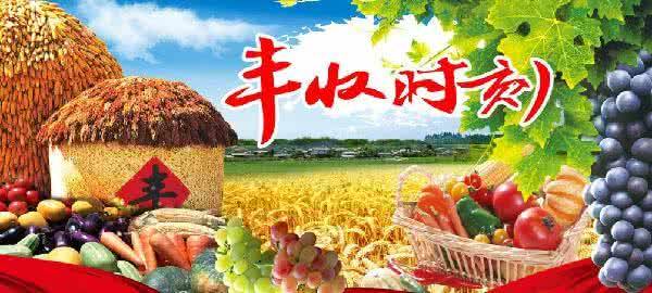 立刻联系购买联系商家 服务区域:国内 服务类型:学习教材 《cctv7农广