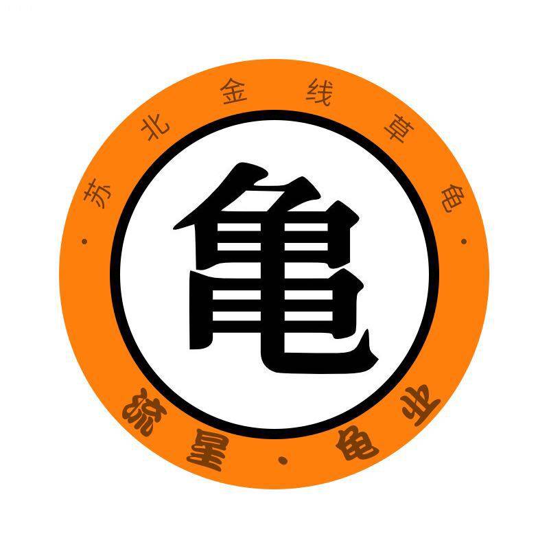 流星龟へ苏北金线草龟