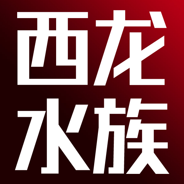 西龙水族 品质见证