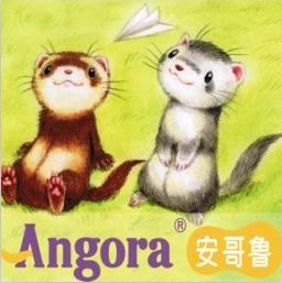安哥鲁宠物貂宁波店