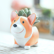 zakka groceries cartoon idyllic cute little short leg Corgi gardening flowerpot micro landscape fleshy puppy flower