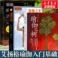 官方正版瑜伽之树+瑜伽之光+瑜伽的艺术（全三册）艾扬格瑜伽入门教程 瑜伽教练培训教材 瑜伽书籍 初级入门 瘦身减肥书籍