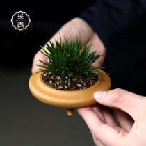 Evergreen] Yixing purple sand classical small flowerpot calamus fleshy miniature bonsai retro ceramic three-legged flat