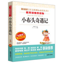 小布头奇遇记/导读版新课标必读丛书课外阅读青少版（无障碍阅读 彩插本）
