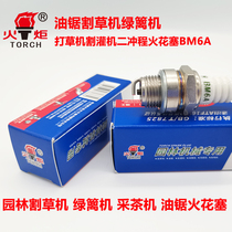 Saw lawn mower special hedge machine lawn mower brush cutter two-stroke spark plug BM6A Hunan Torch Spark Plug