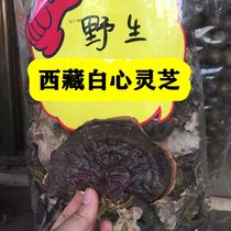 Tibet wild Ganoderma lucidum Tibet White Linzhi wild non Ganoderma lucidum spore powder 250g free sliced powder