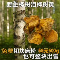 Northeast specialty Yichun wild birch velvet chaga brown hole bacteria birch velvet birch yellow birch tear gall 500g