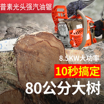 New Five Generations Putin Bald Head Strong Oil Saw Logging Saw Import Configuration Petrol Saw Handheld Home High Power Chain