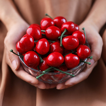 Simulation Cherry Fruit 2 Price Pendulum Pieces Online Shop Photography Background Pendulum Pieces Taobao Shooting Photo Small Props