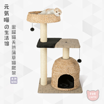 Yuanjun Meow honey pot cat climbing frame cat nest cat tree stand solid wood large cat toy cat house pet supplies
