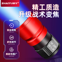 Fishing Light Blue Light Night Fishing Light t6 Light Pearl 5V High Power Bench Fishing Ultra Bright Fish Lamp External USB floodlight lamp head