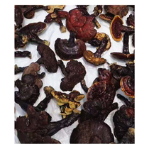 Wild Ganoderma lucidum is a 500g bag of water in the bushes growing at an altitude of 3000 meters.